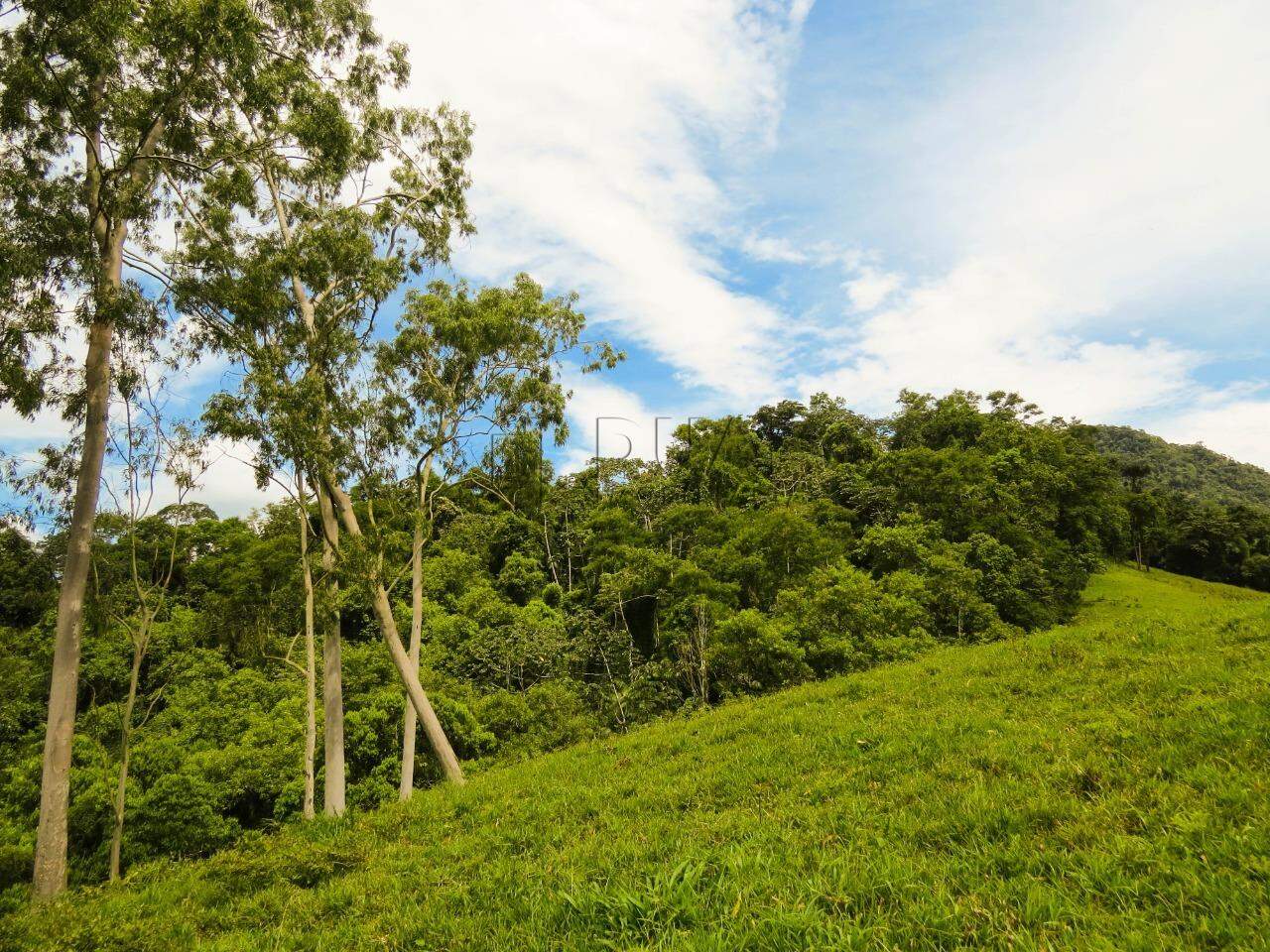 Imagem Chácara com 20000m² em Condomínio Rural no Garibaldi em Jaraguá do Sul