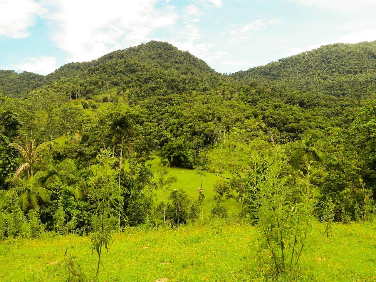 Imagem Chácara com 20000m² em Condomínio Rural no Garibaldi em Jaraguá do Sul