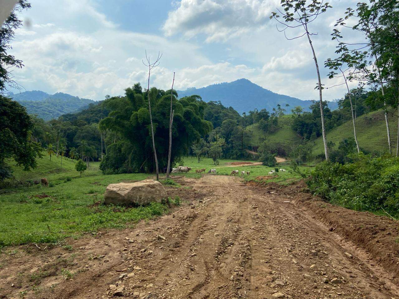 Imagem Chácara com 20000m² em Condomínio Rural no Garibaldi em Jaraguá do Sul