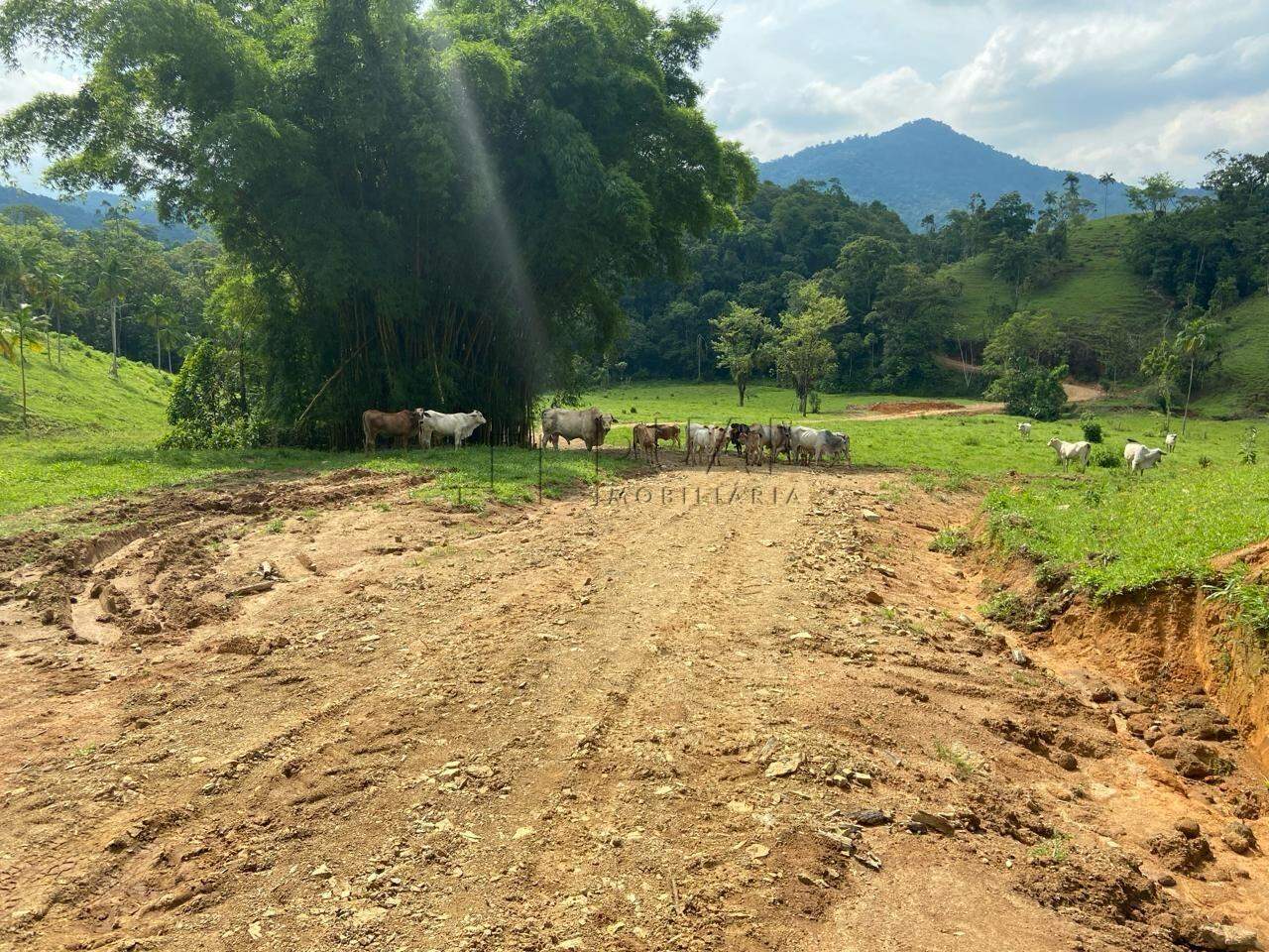 Imagem Chácara com 20000m² em Condomínio Rural no Garibaldi em Jaraguá do Sul