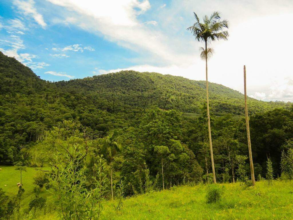 Imagem Chácara com 20000m² em Condomínio Rural no Garibaldi em Jaraguá do Sul