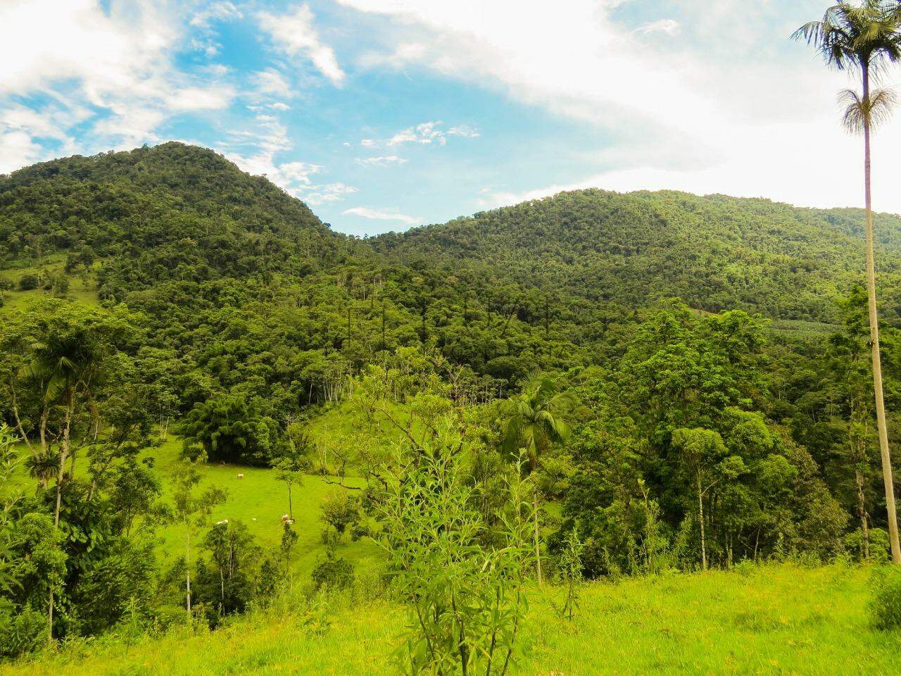 Imagem Chácara com 20000m² em Condomínio Rural no Garibaldi em Jaraguá do Sul