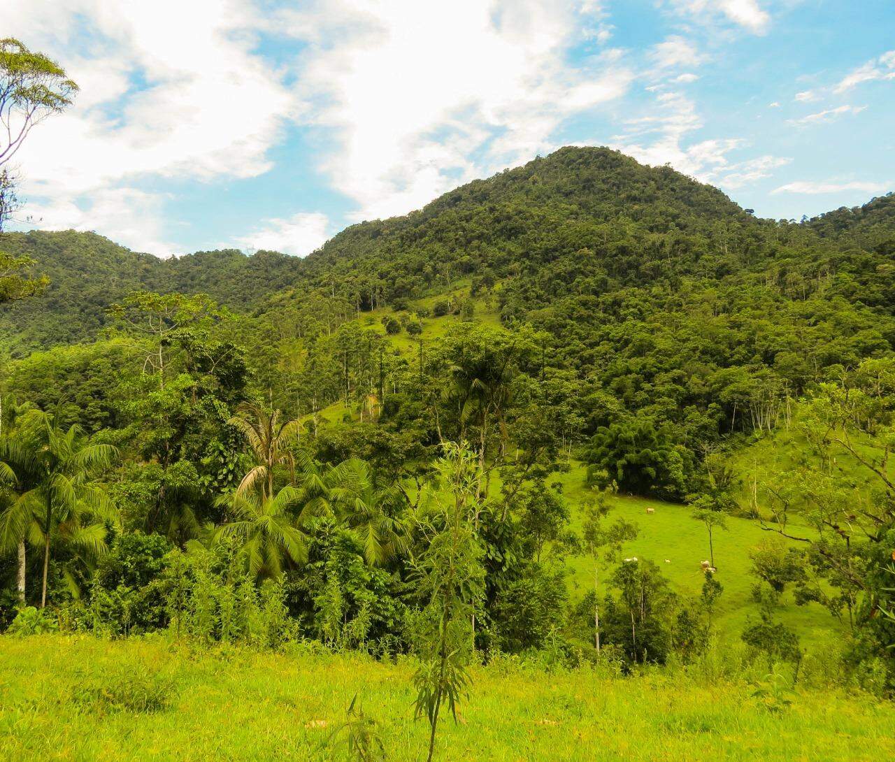 Imagem Chácara com 20000m² em Condomínio Rural no Garibaldi em Jaraguá do Sul