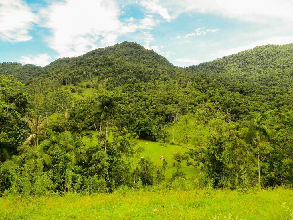 Imagem Chácara com 20000m² em Condomínio Rural no Garibaldi em Jaraguá do Sul