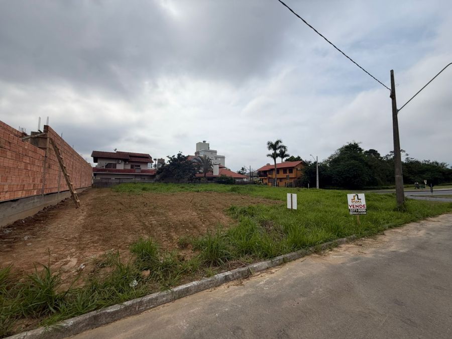 Imagem Terreno à Venda no Bairro Amizade – Rua Tranquila e Segura