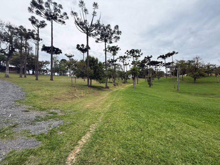 Imagem Condomínio Fechado de Luxo Fazenda Araça  em Campo Alegre