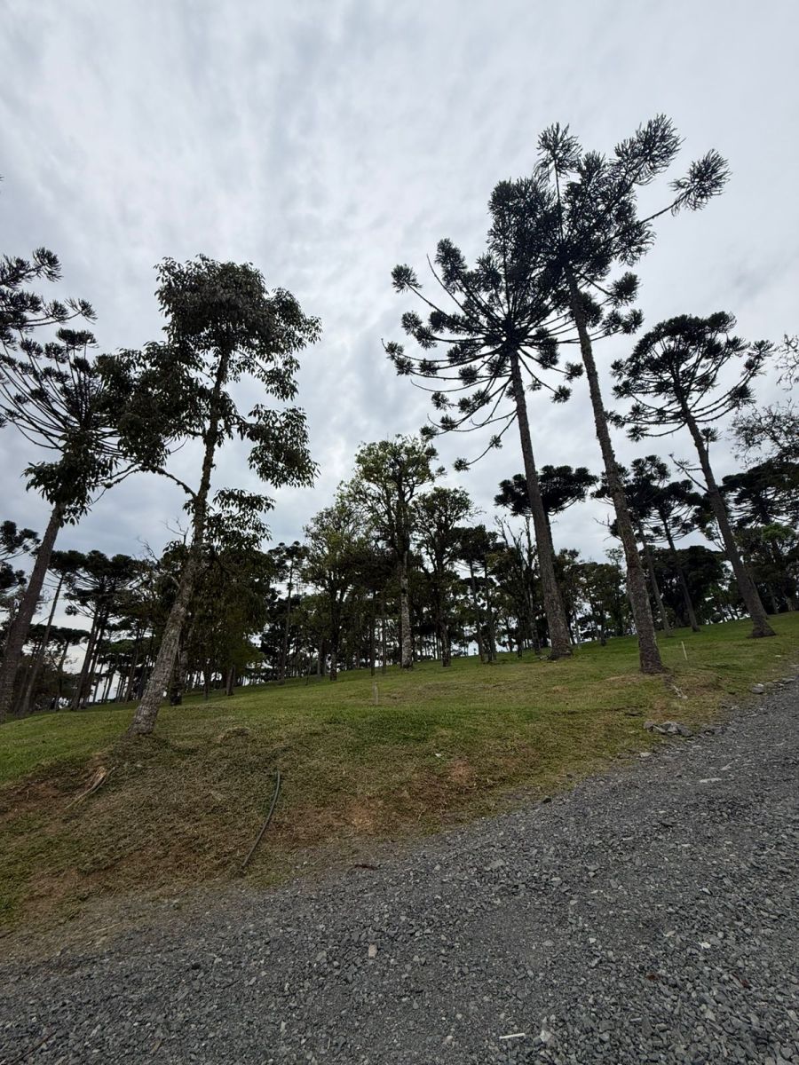 Imagem Condomínio Fechado de Luxo Fazenda Araça  em Campo Alegre