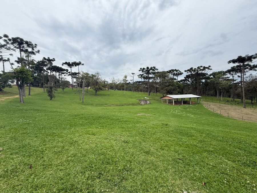 Imagem Condomínio Fechado de Luxo Fazenda Araça  em Campo Alegre