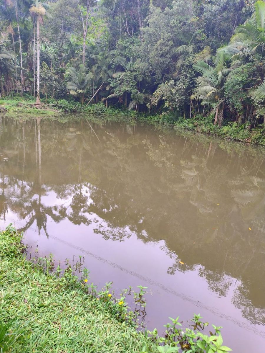 Imagem Sitio no bairro Nereu Ramos em Jaraguá do Sul