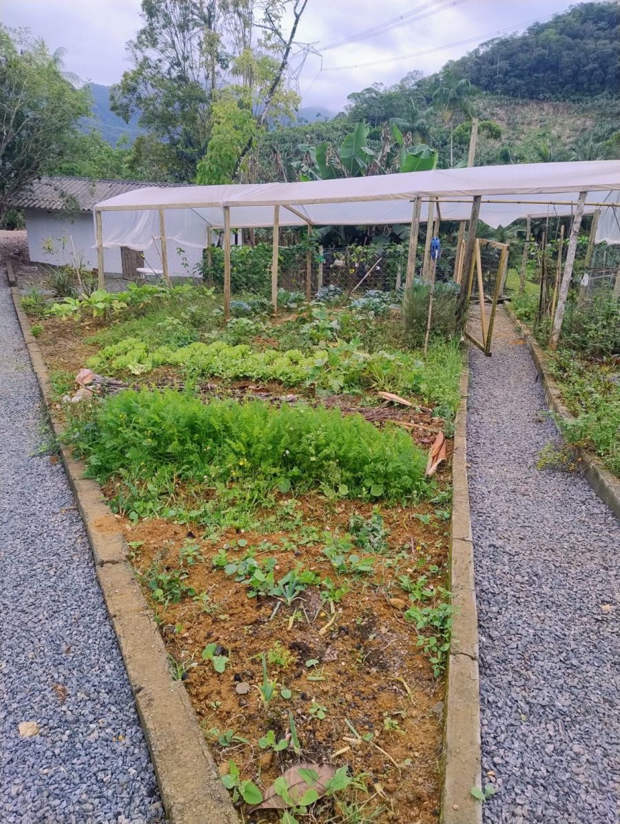 Imagem Sitio no bairro Nereu Ramos em Jaraguá do Sul