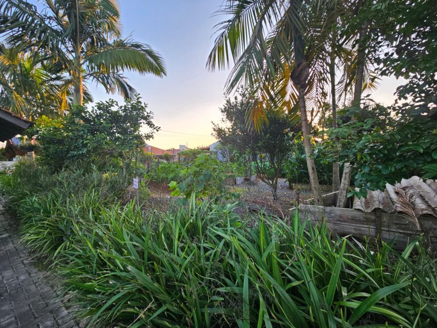 Imagem Terreno plano de esquina no bairro Amizade em Jaraguá do Sul