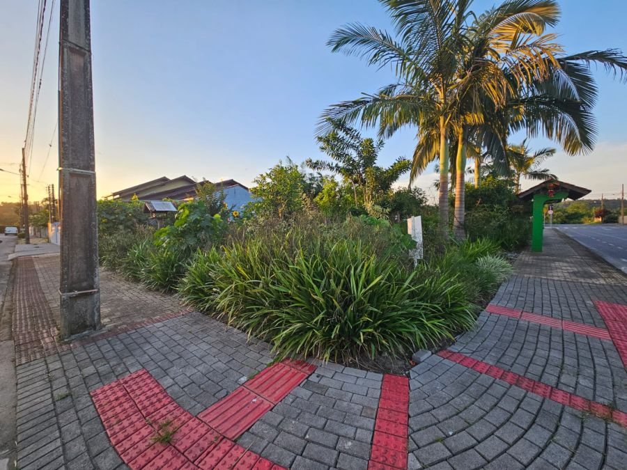 Imagem Terreno plano de esquina no bairro Amizade em Jaraguá do Sul