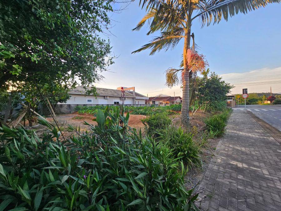 Imagem Terreno plano de esquina no bairro Amizade em Jaraguá do Sul