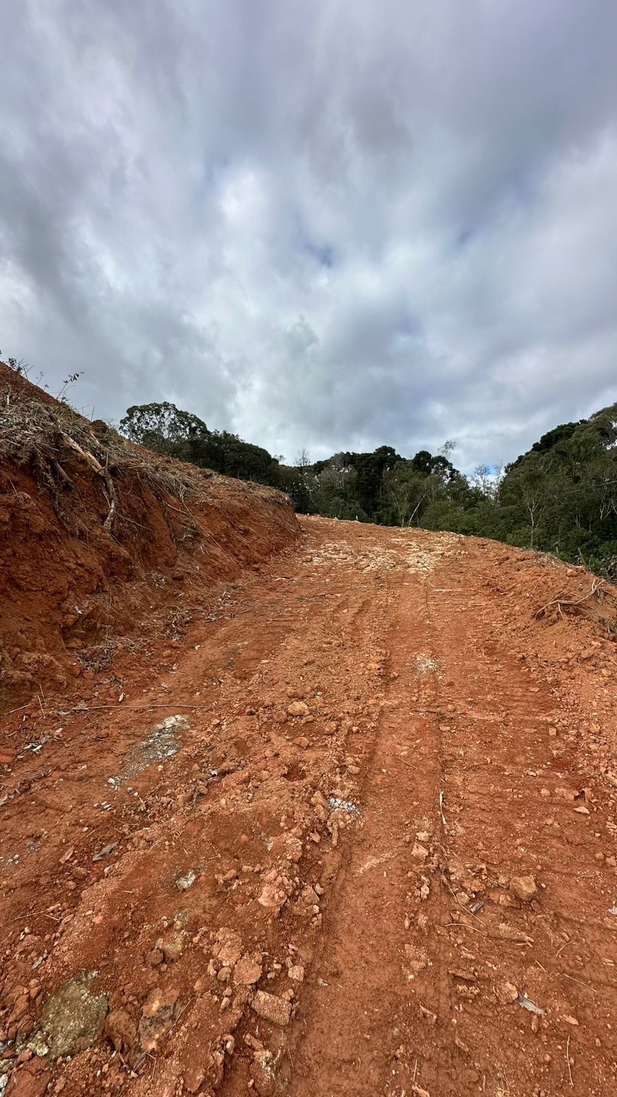Imagem Terreno de 2.000 m² à venda em São Bento do Sul bairro Serra Alta.