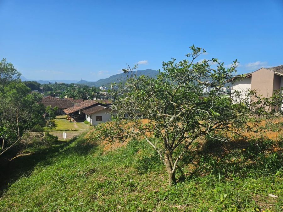 Imagem Terreno à venda no bairro Rio Molha em Jaraguá do Sul — 378m², local alto e próximo à Prefeitura