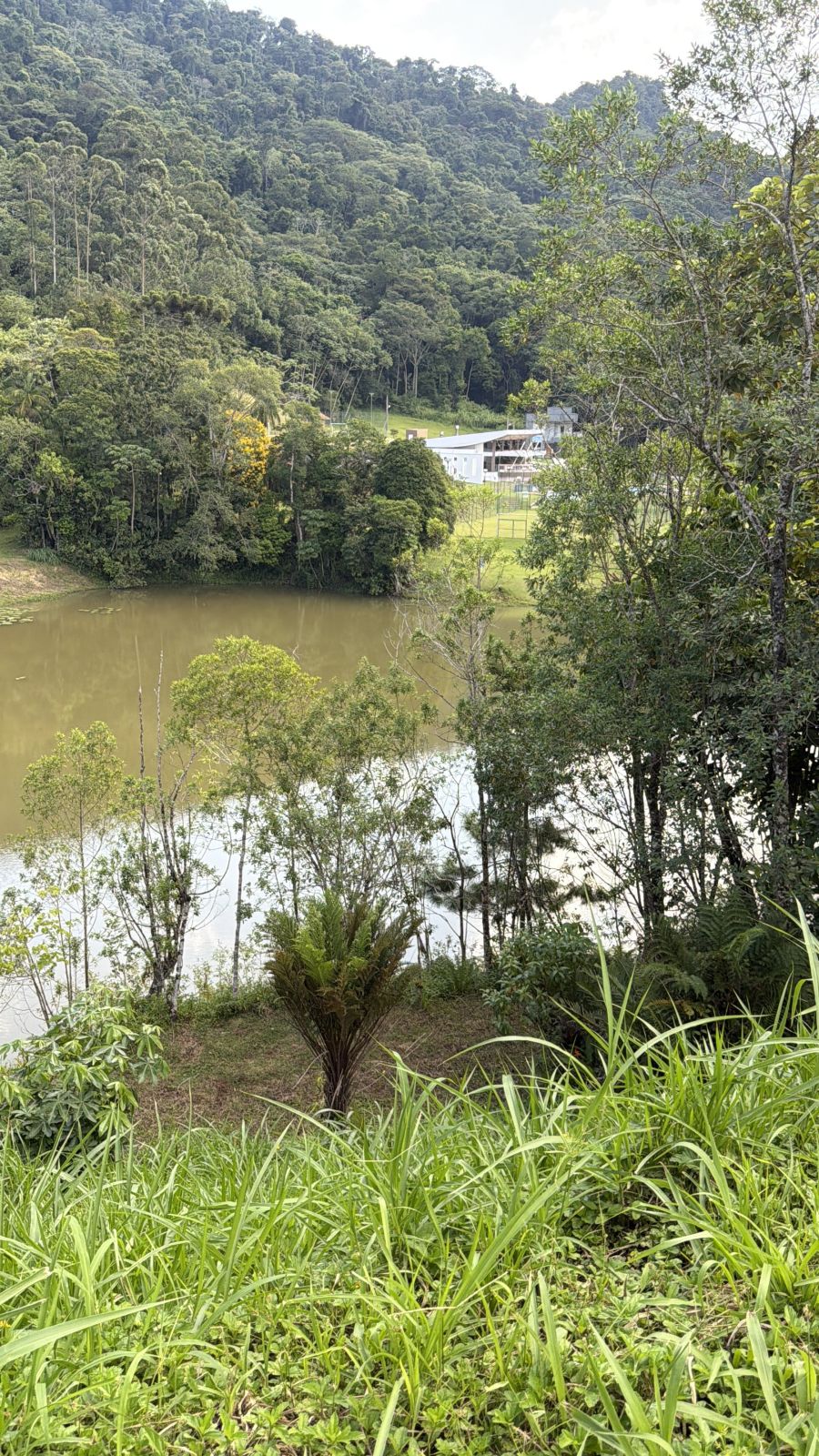 Imagem Lote em condomínio fechado à venda, Duquesa de Chartres - Jaraguá do Sul/SC