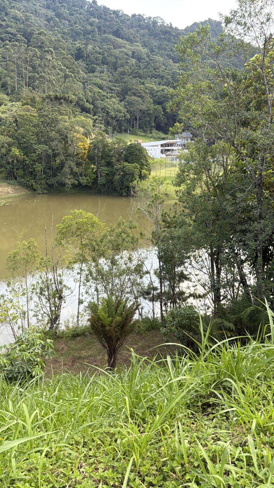Imagem Lote em condomínio fechado à venda, Duquesa de Chartres - Jaraguá do Sul/SC