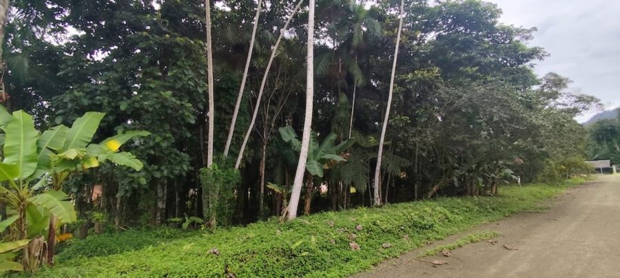 Imagem Terreno Central de 1505m² em Schroeder: Aceita Permuta