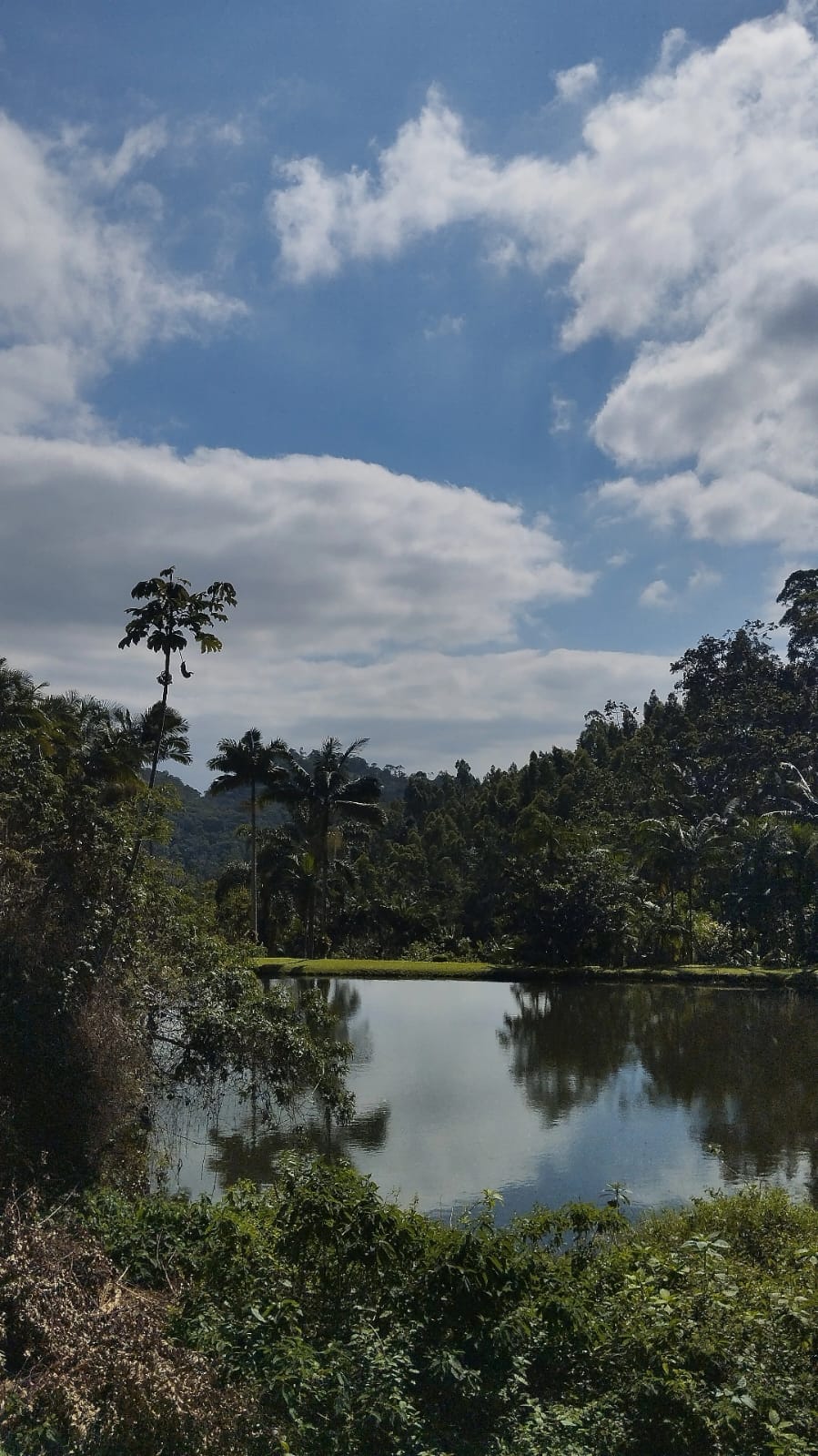 Imagem Chácara / Sítio em localização privilegiada no bairro Barra do Rio Cerro em Jaraguá do Sul