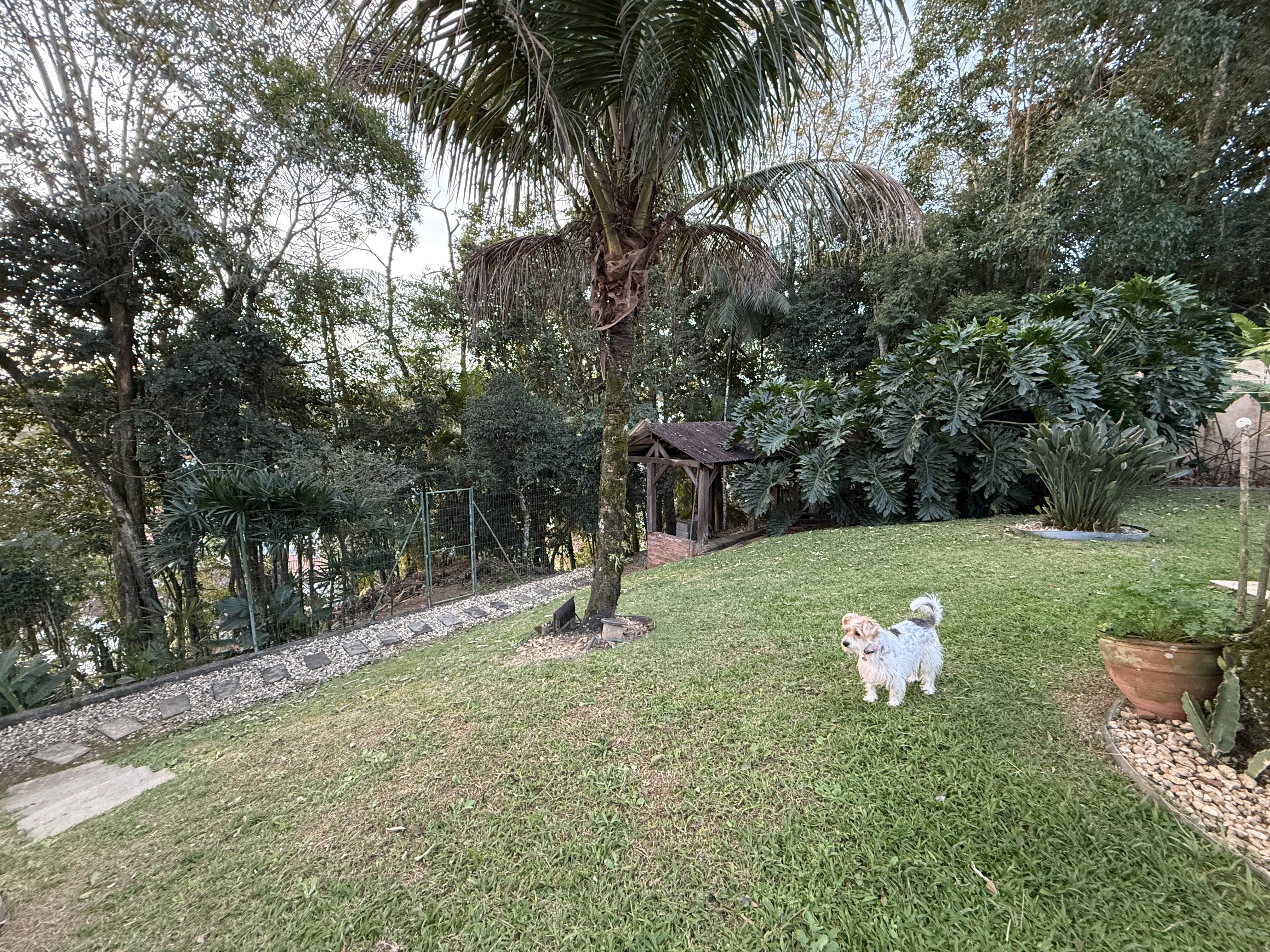 Imagem Casa à venda em Jaraguá do Sul (Jaraguá Esquerdo) | 1 suíte, 4 quartos, 2 vagas