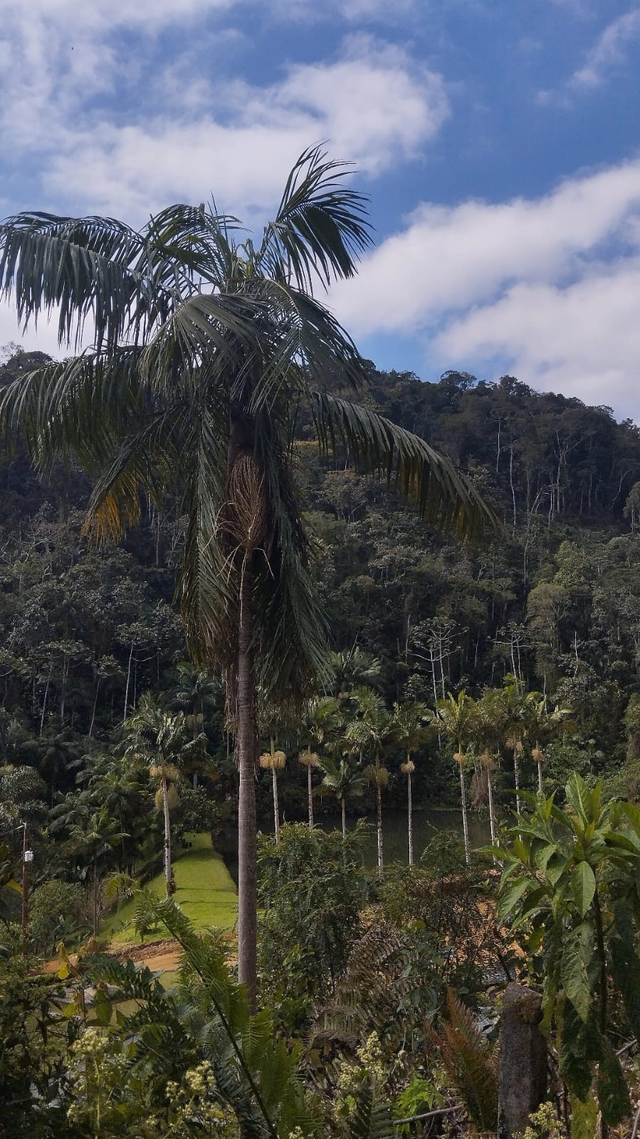 Imagem Chácara / Sítio em localização privilegiada no bairro Barra do Rio Cerro em Jaraguá do Sul