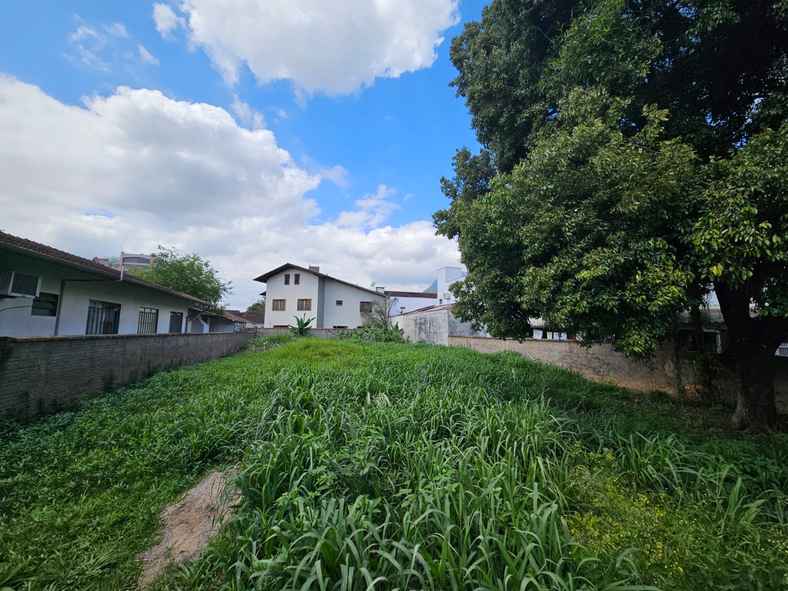 Terreno a venda no bairro Centro em Jaraguá do Sul