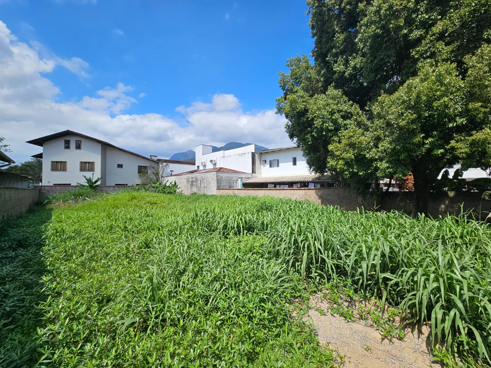 Imagem Terreno a venda no bairro Centro em Jaraguá do Sul