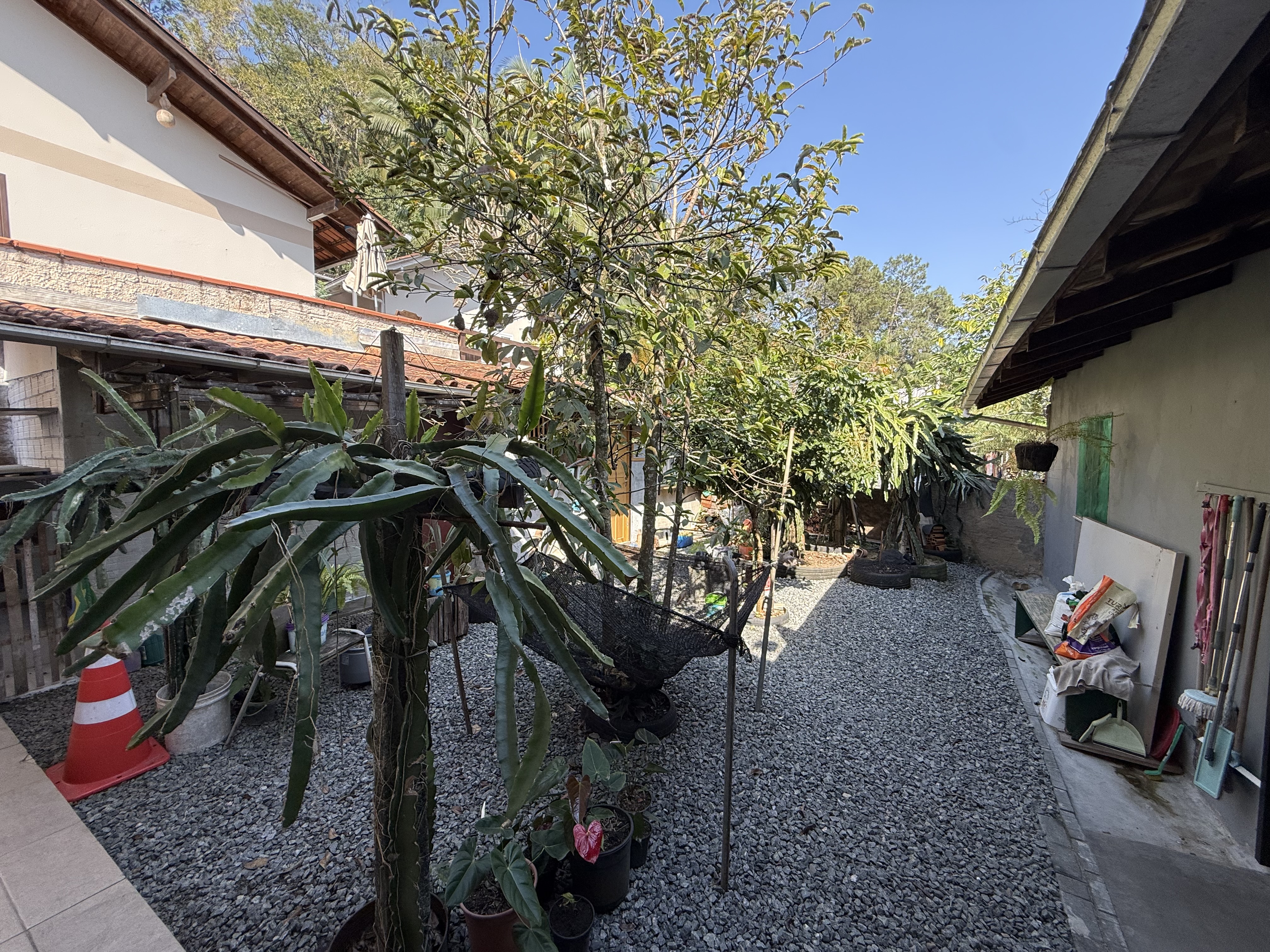 Imagem Casa no bairro Ilha da Figueira com 3 dormitórios e amplo quintal