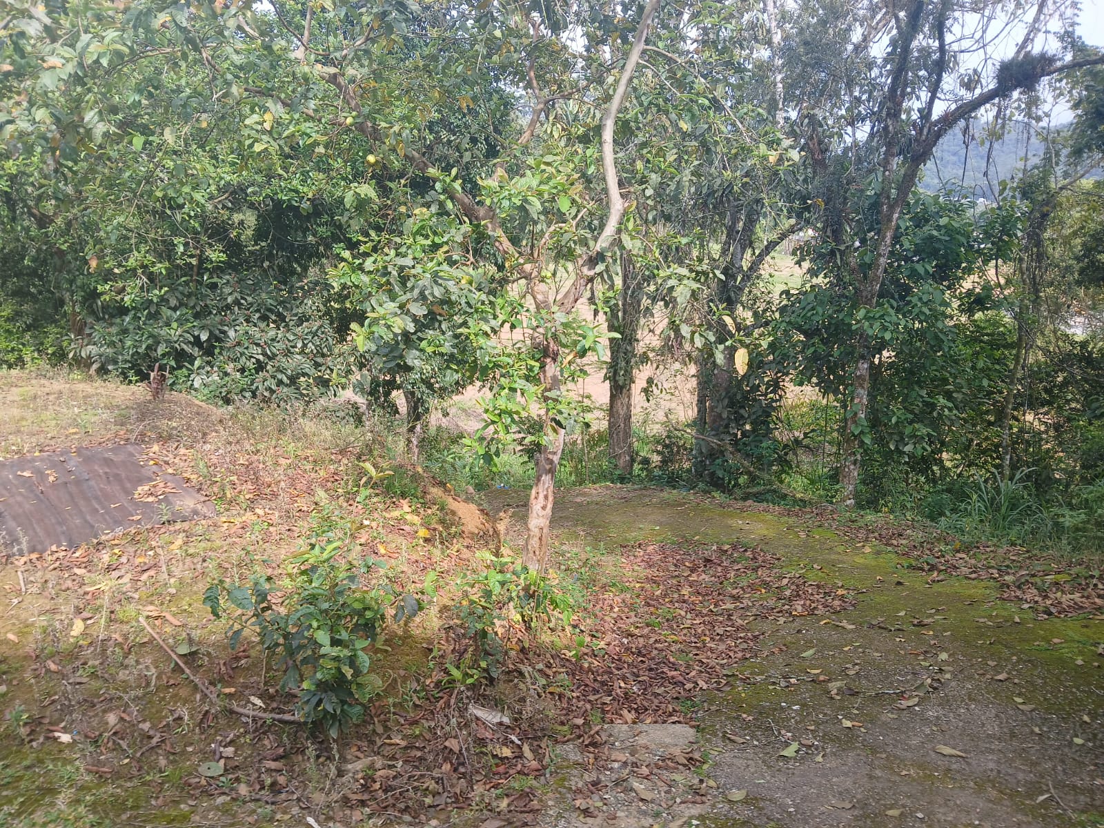 Imagem Terreno a venda no Bairro Tifa dos Monos próximo a Faculdade Estácio.