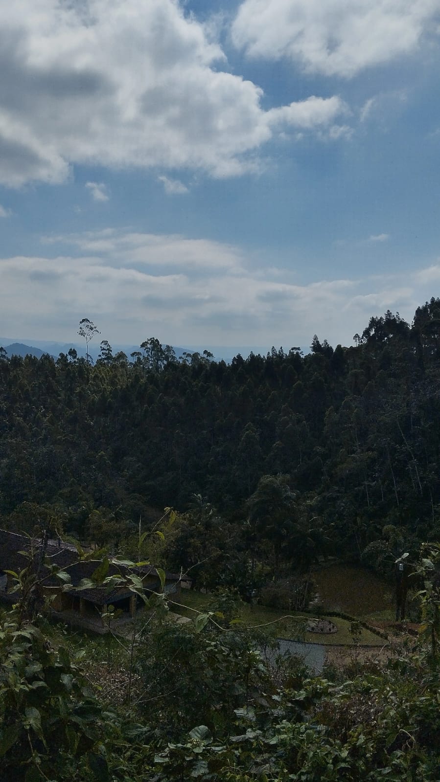Imagem Chácara / Sítio em localização privilegiada no bairro Barra do Rio Cerro em Jaraguá do Sul