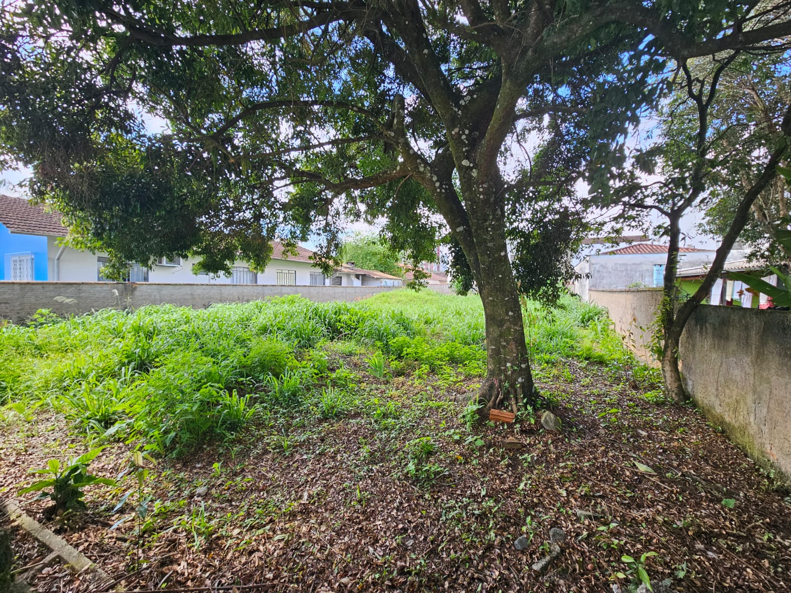 Imagem Terreno a venda no bairro Centro em Jaraguá do Sul