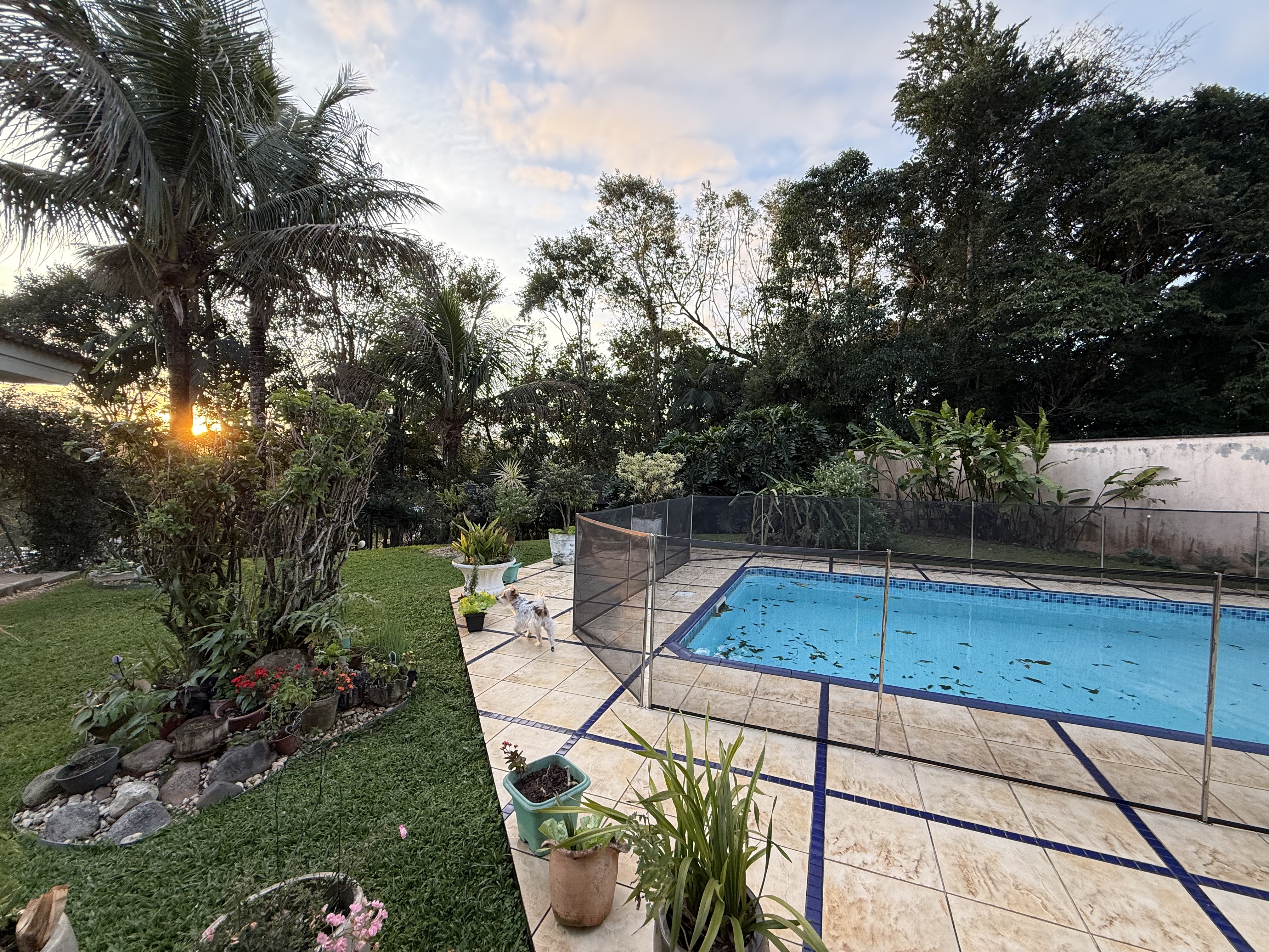 Imagem Casa à venda em Jaraguá do Sul (Jaraguá Esquerdo) | 1 suíte, 4 quartos, 2 vagas