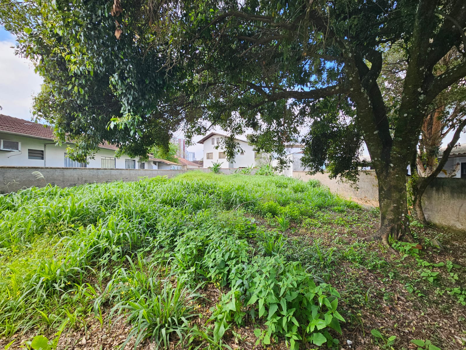 Imagem Terreno a venda no bairro Centro em Jaraguá do Sul
