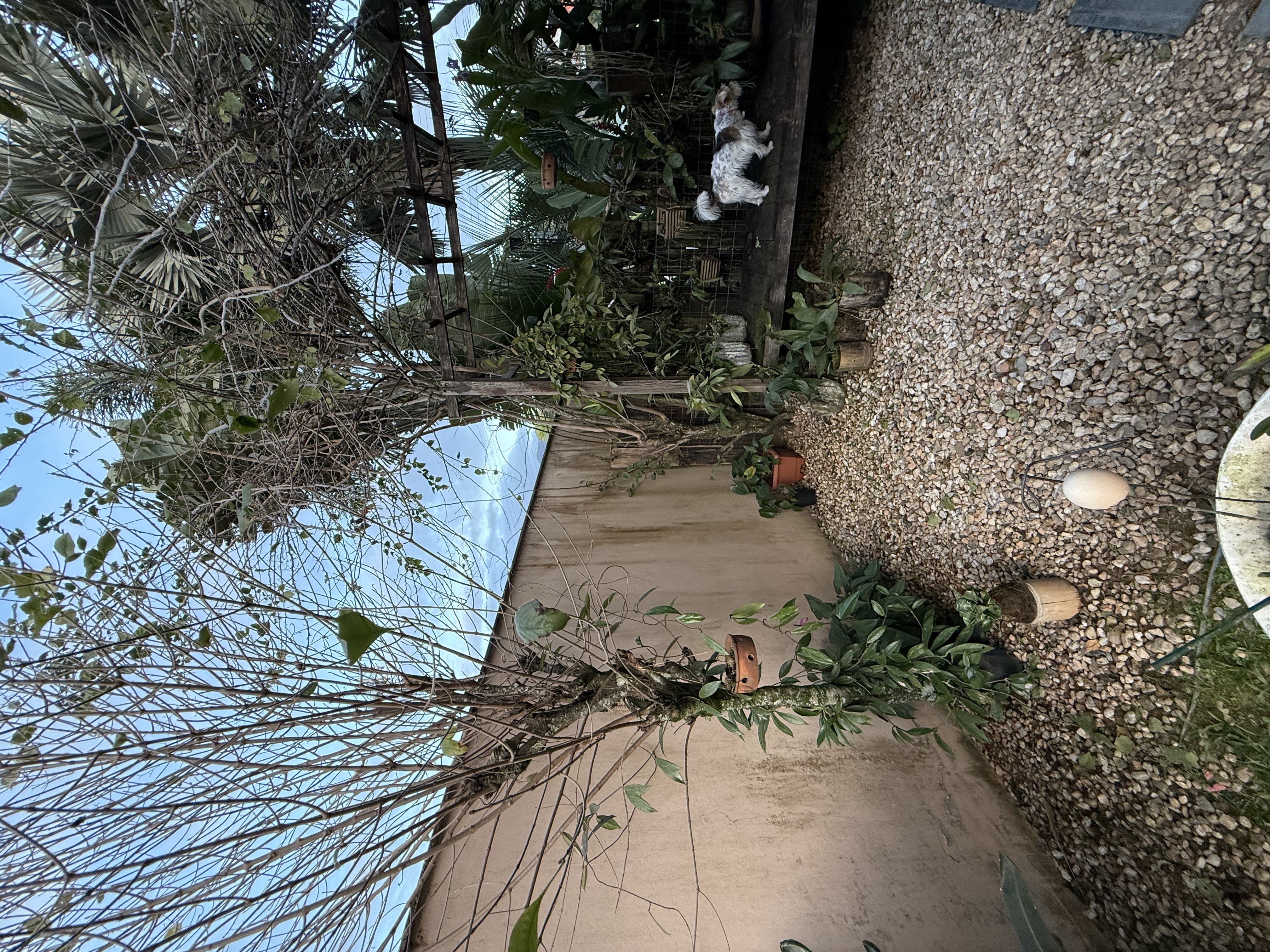 Imagem Casa à venda em Jaraguá do Sul (Jaraguá Esquerdo) | 1 suíte, 4 quartos, 2 vagas