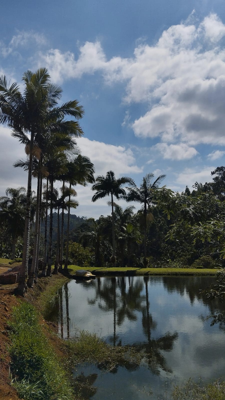 Imagem Chácara / Sítio em localização privilegiada no bairro Barra do Rio Cerro em Jaraguá do Sul
